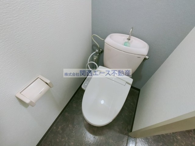  | シロハイヌ今米