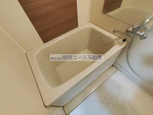  | シロハイヌ今米