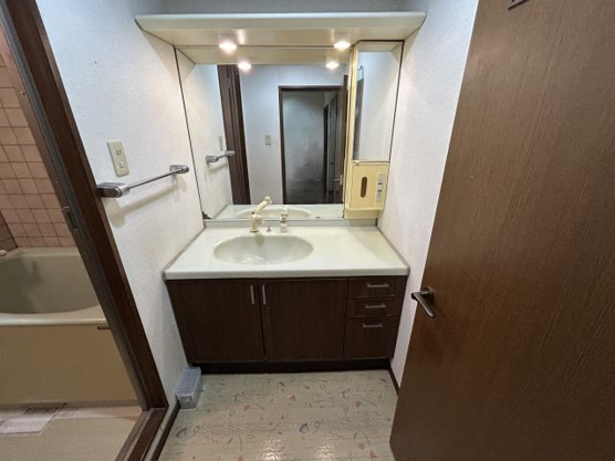 【独立洗面台】 | ニューステージ川奈