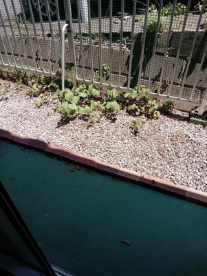 【バルコニー】 | マリオン平山城址(マリオンヒラヤマジョウシ)