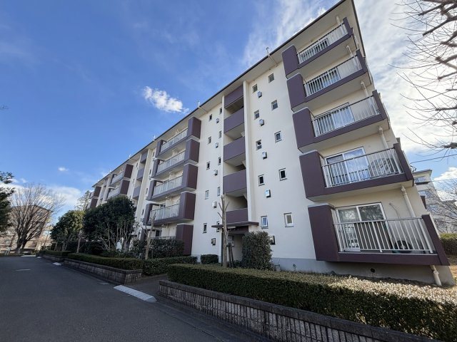 の-の画像