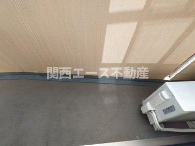  | サンクチュアリー