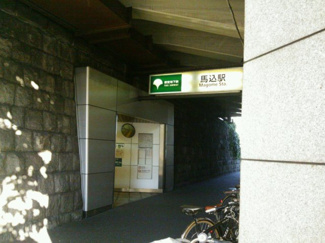 【周辺】 | EsTRUTH MAGOME