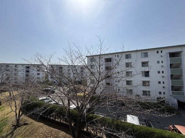 南側バルコニーからの眺望です。