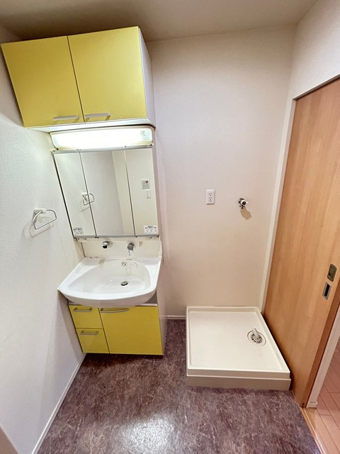 扇グリーンヴィレッジ　Ｂの洗面所|他部屋写真