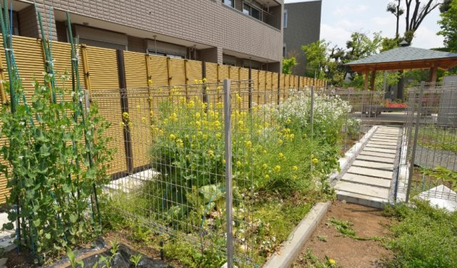 扇グリーンヴィレッジ　Ｂのその他|★入居者用菜園完備★