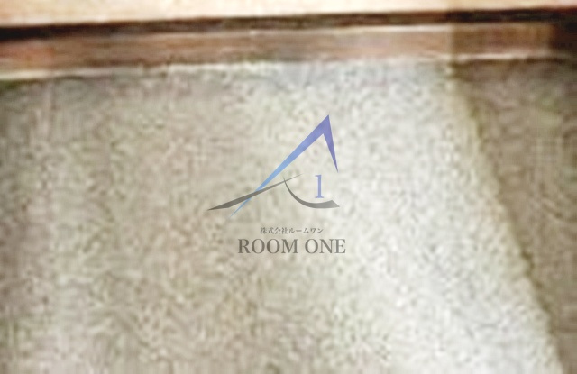 ルネ余丁町の玄関|玄関です。