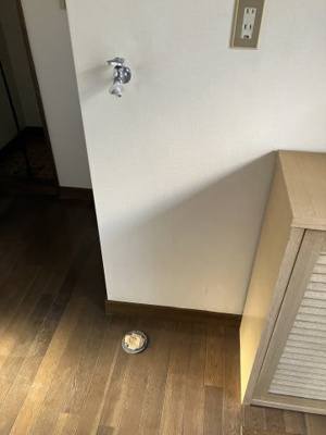 【その他】 | ハイムＦ | 室内洗濯機置場