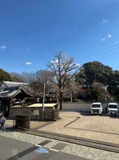 【展望】