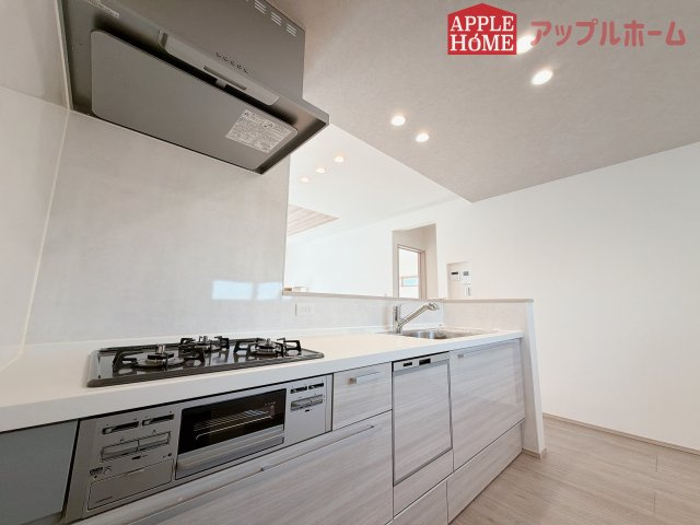 [新築住宅] 羽生市砂山 第1期 全20区画のキッチン|見栄えもよくお手入れもスムーズに出来ます。豊富な収納力もございますので、キッチンスペースをスッキリとお使い頂けそうです。