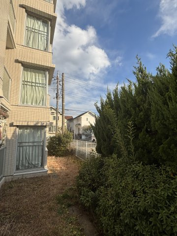 ☆南西洋室からの眺望☆