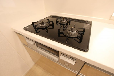 【設備】 | エレガントオハナ | システムキッチン