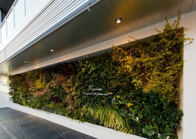 GENOVIA駒込駅 green veilのその他共用部分