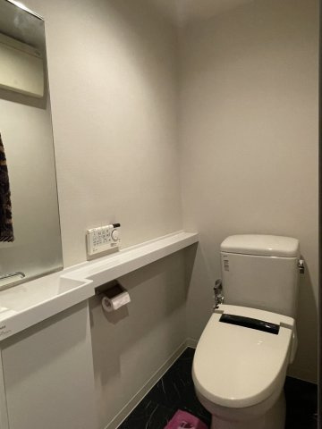 アルファガーデン持田のトイレ|洗面台付き・収納のあるトイレです。