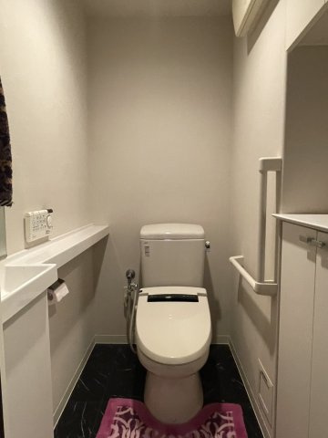 アルファガーデン持田のトイレ|洗面台付き・収納のあるトイレです。