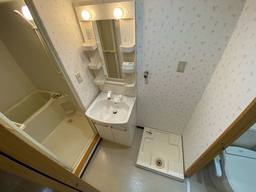 メゾンロージェの洗面所