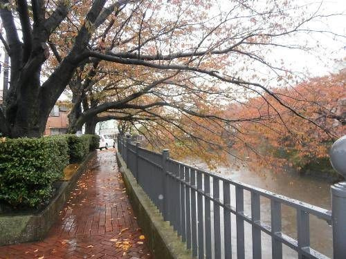 マ・モール弘明寺１のその他