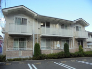 ペルレトゥルムＡの画像