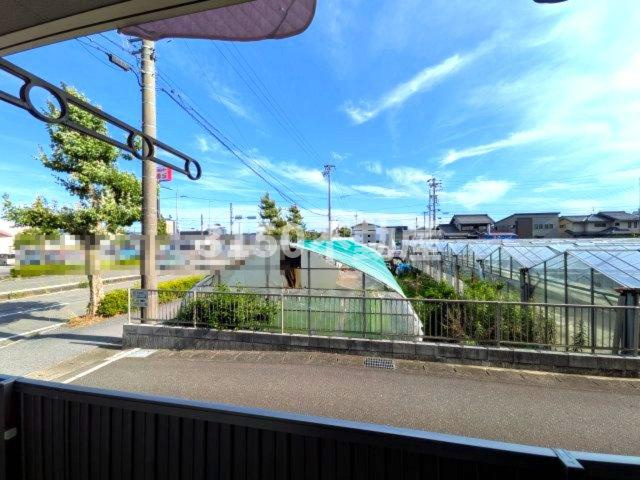 グレイス SEの展望