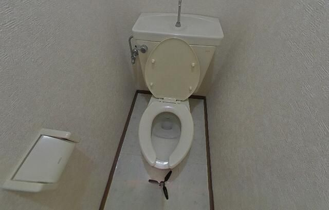 ファイン・ビレッジⅤのトイレ