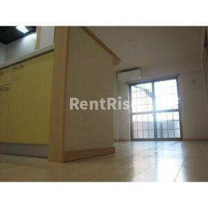 小池花水木の駐車場