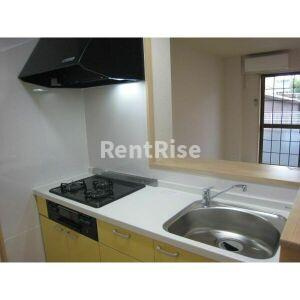 小池花水木の庭