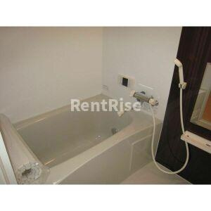 小池花水木のトイレ