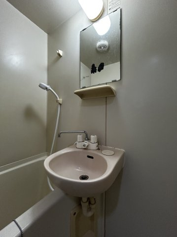 シティライフエステート難波南の洗面所