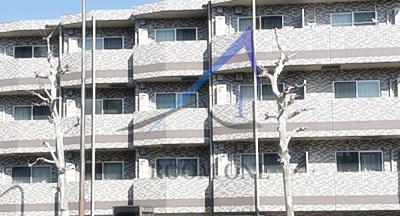 ディアレイシャス成増