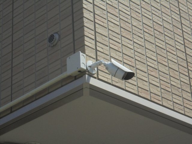 Allureのセキュリティ