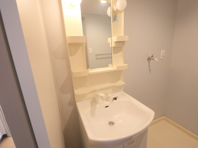 メゾン・デ・アムールの洗面所