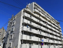 【丸美ロイヤル築地】✨️仲介手数料無料✨️港楽小学校・東港中学校の画像