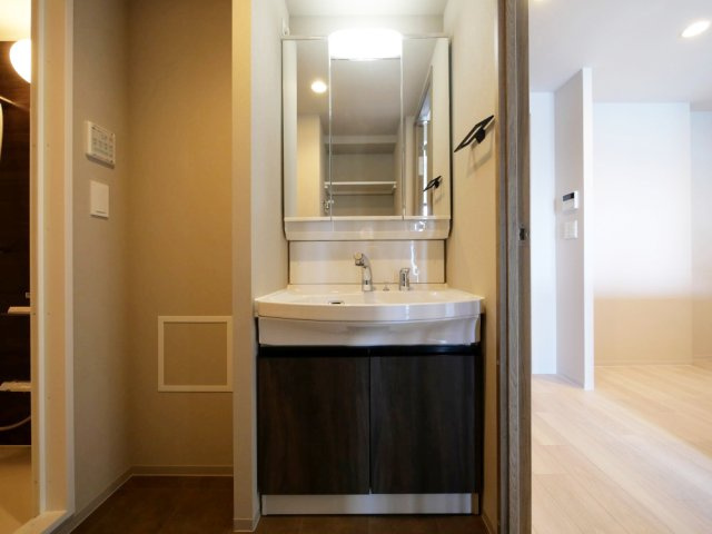 Louis Residence 弁天町の独立洗面台