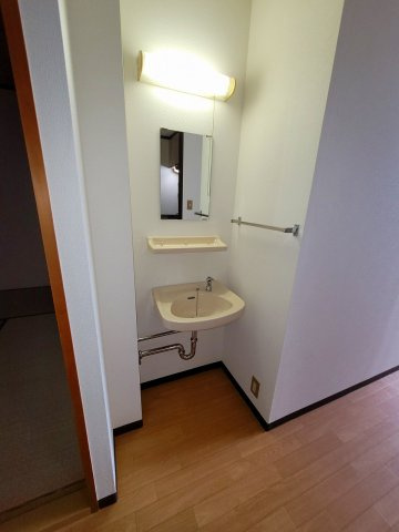 サンハイツ大柳の独立洗面台