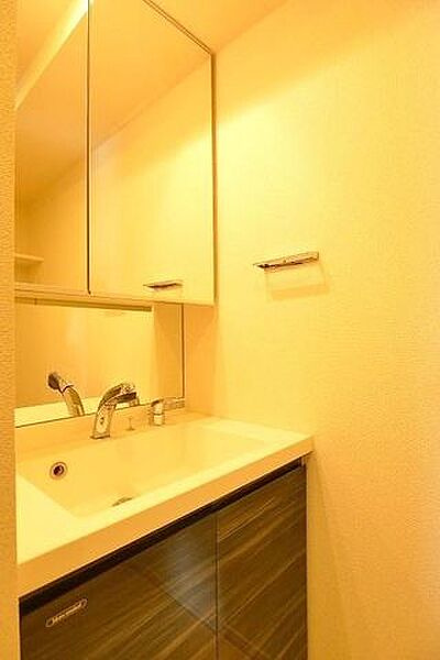 ハーモニーレジデンス両国テラスの洗面所