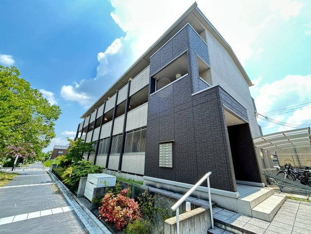 テレザート光台