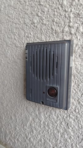 レマンソデカスガのその他