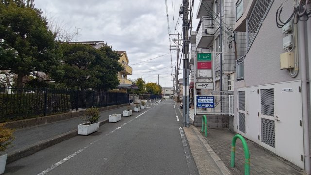 レマンソデカスガの周辺