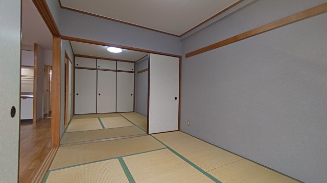 レマンソデカスガの子供部屋