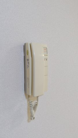 レマンソデカスガのセキュリティ