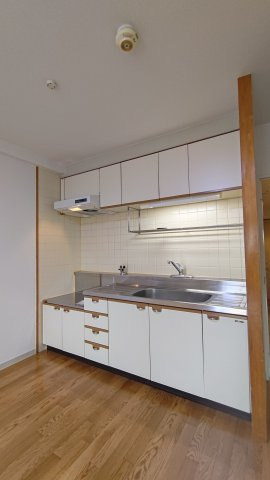 レマンソデカスガのキッチン