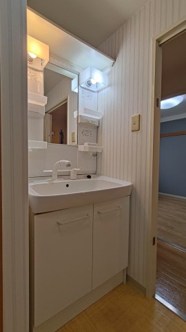 レマンソデカスガの洗面所