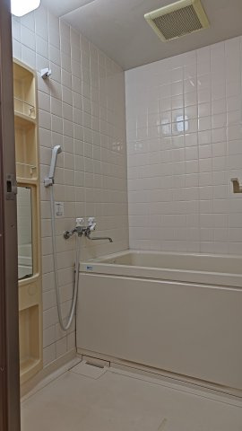 レマンソデカスガの浴室