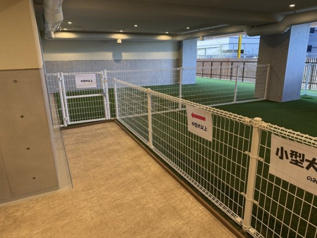 リーラ横浜川和町のその他共用部分|ドッグラン