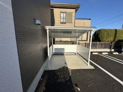  | サニーオリーブ