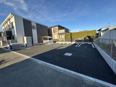  | サニーオリーブ