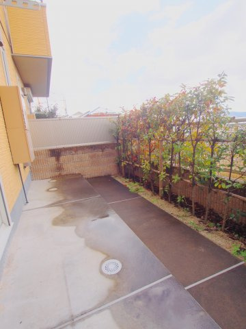 マグノリアBの庭