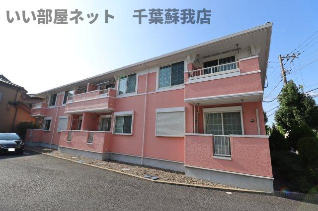 アウリイ　ハレ