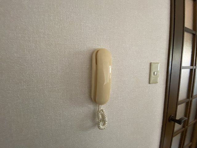 ルミエール州見