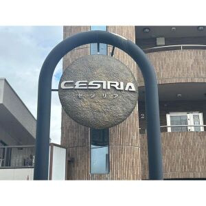 CESIRIAのその他